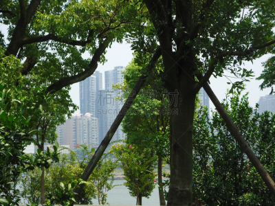 岛,橙子,长沙,公园,水平画幅,绿色,无人,东南亚半岛,建筑外部,户外