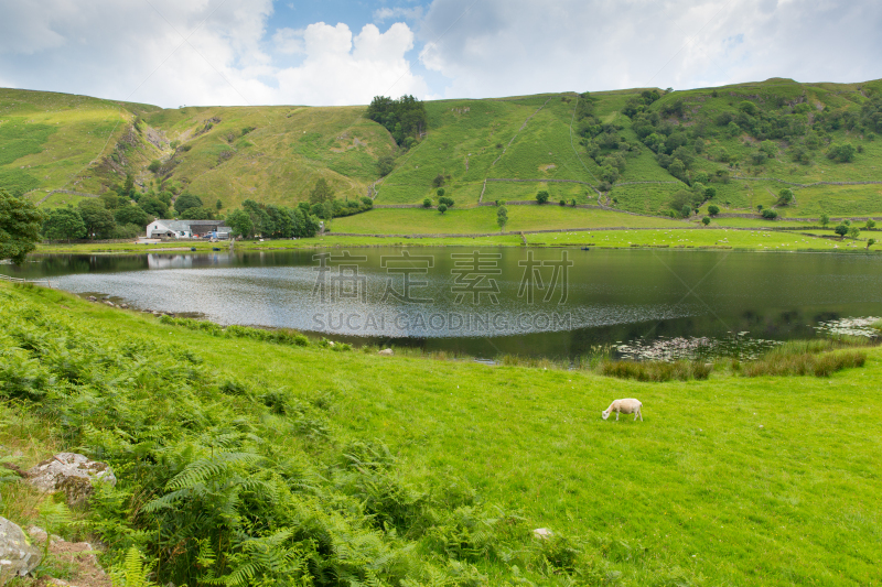 英格兰湖区,坎布里亚,英格兰,夏天,白昼,宁静,瓦腾拉斯湖,瓦德恩拉斯,舍米尔山谷,波路达利