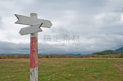 空的,木制,路,指示棒,箭毒蛙,方向标,园艺师,哑语,旅游嘉年华,林务官
