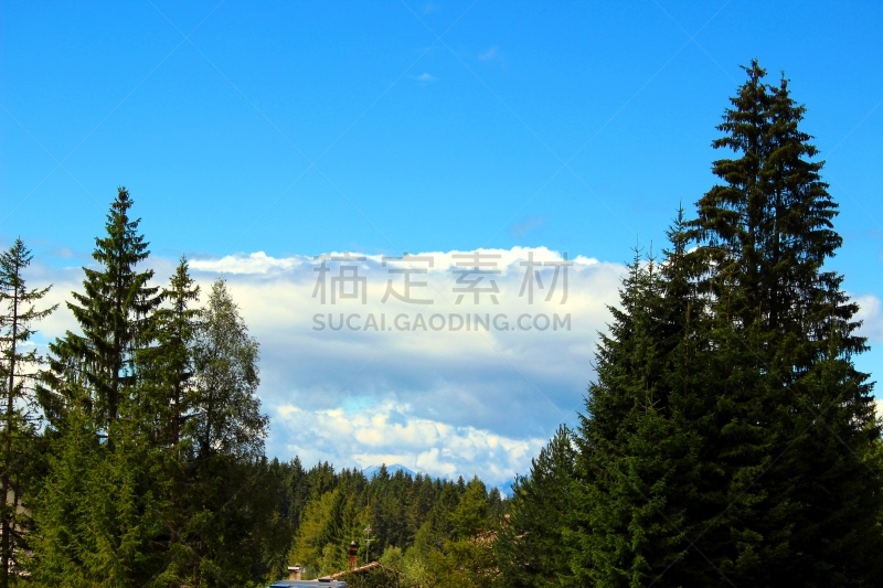 山,水平画幅,无人,2015年,山顶,夏天,博尔米奥,摄影,度假,树