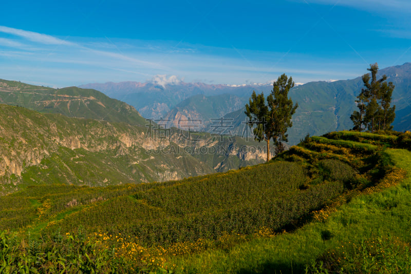 科尔卡峡谷,阿雷基帕地区,秘鲁,洛矶山脉,水,天空,沟壑,水平画幅,山,雪