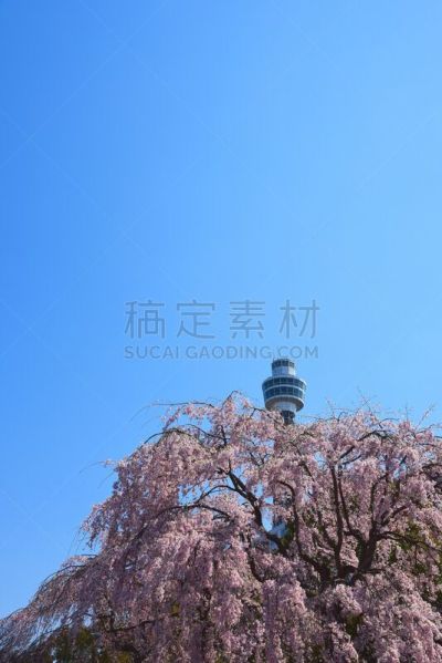 横滨,神奈川县,垂直画幅,天空,无人,蓝色,日本,东亚,户外,都市风景