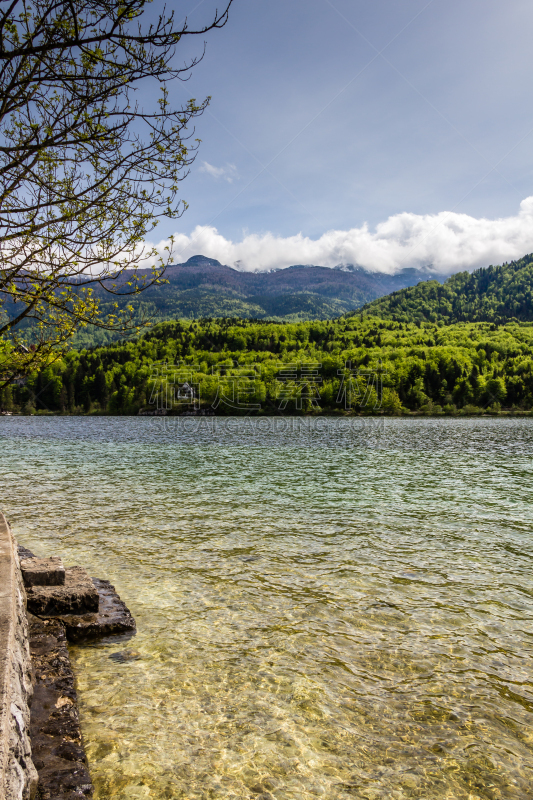 特里格拉夫国家公园,湖,山脉,波悉尼,julian alps,垂直画幅,水,无人,鸟类,户外