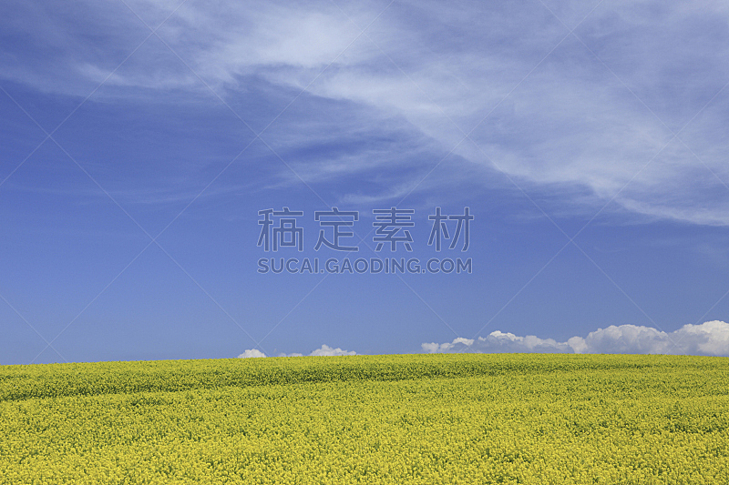 油菜花,田地,自然,天空,草地,水平画幅,云,地形,山,无人