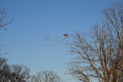 桑茨波恩特,华盛顿港,冬天,图像,纳苏县,公园,二月,美国,长岛,无人