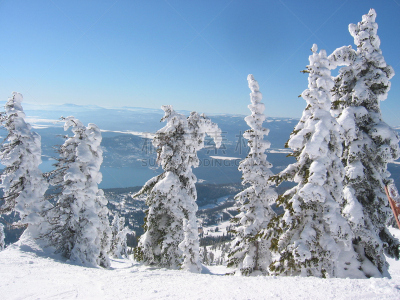 山,巨大的,滑雪运动,蒙大拿州,美洲落叶松,铁杉树,松树,水平画幅,无人,全景