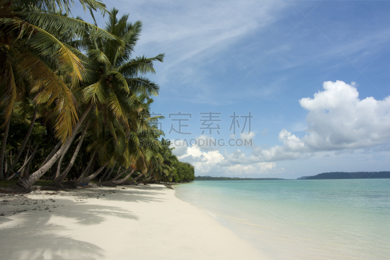 海滩,鸡尾酒,水,天空,哈弗洛克岛,水平画幅,沙子,无人,椰子树,安达曼海