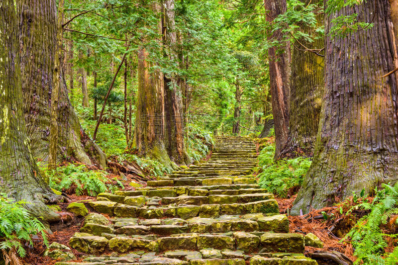 熊野古道,灵性,小路,拉奇瀑布,和歌山县,水平画幅,地形,无人,日本,户外