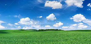 天空,绿色,地形,田地,蓝色,全景,春天,数字60,云,留白