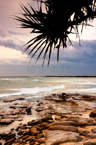 叶子,在之后,自然,垂直画幅,水,天空,旅游目的地,岩石,无人,黄昏