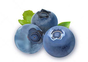 蓝莓,三个物体,分离着色,留白,水平画幅,绿色,素食,无人,蓝色,绘画插图