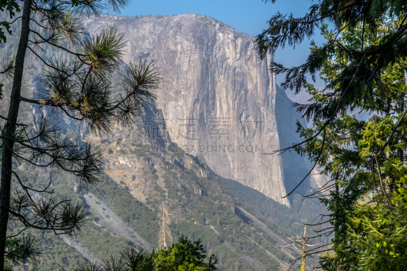 船长岩,莫斯特,岩层,一只动物,国际著名景点,橡树林地,运动,多样,世界遗产,加利福尼亚