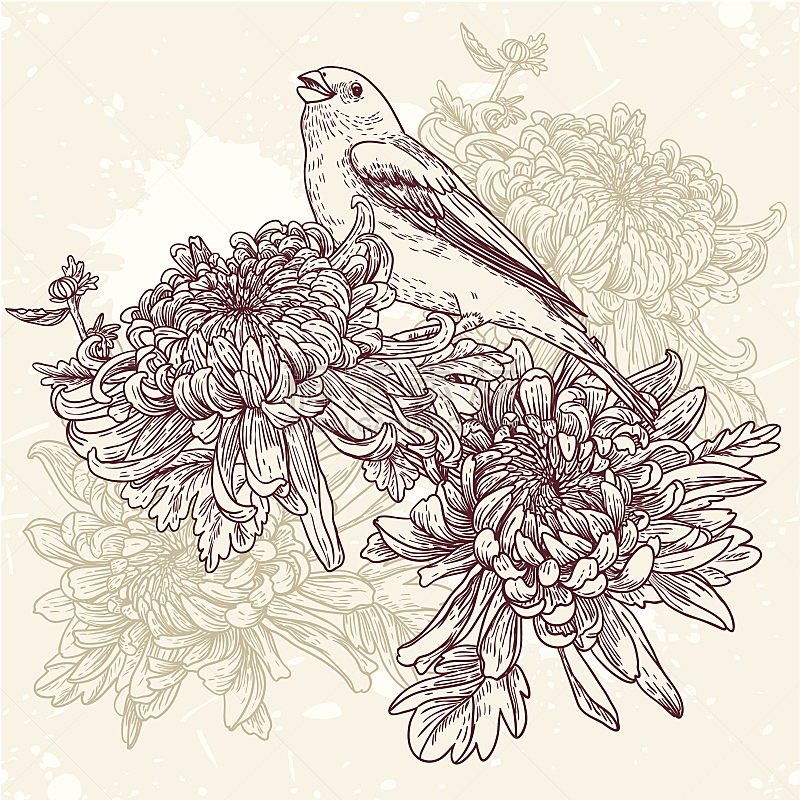 鸟类,绘画插图,仅一朵花,可爱的,华丽的,纺织品,野生动物,浪漫,装饰物,春天