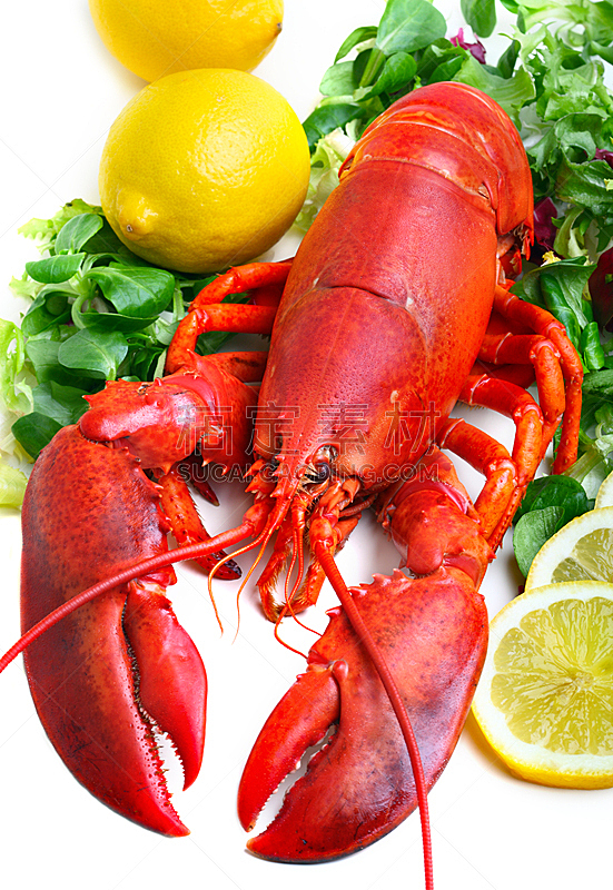 龙虾,煮食,垂直画幅,红色,餐馆,无人,甲壳动物,海产,蒸菜,柠檬