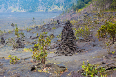 火山口,室内地面,桃金娘花树,几劳亚活火山,硫磺,在底端,夏威夷大岛,火山喷口,异国情调,石头