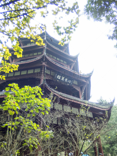 过去,塔,唐朝,成都,盆景,四川省,垂直画幅,公园,无人,古老的