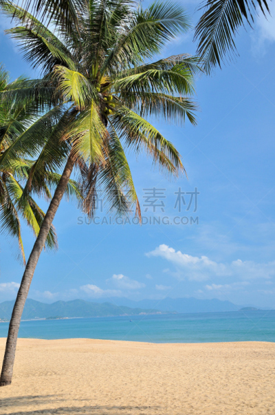 越南,海滩,芽庄,庆和省,垂直画幅,度假胜地,无人,海港,夏天,户外