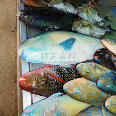 海产,德国高速列车,金冠苹果,鲟鱼,养鱼场,黑鲈,水平画幅,生食,特写,工业