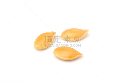 微距,分离着色,南瓜子,三个物体,水平画幅,素食,南瓜,巨大的,维生素,干的