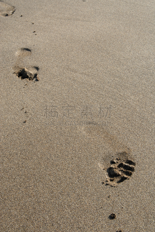 脚印,沙子,海滩,海滨流浪汉,垂直画幅,旅游目的地,足,户外,海洋,海岸线