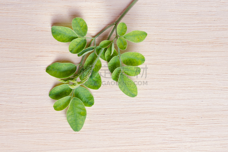 辣木植物,叶子,背景,厚木板,自然,水平画幅,绿色,无人,有机食品,山葵