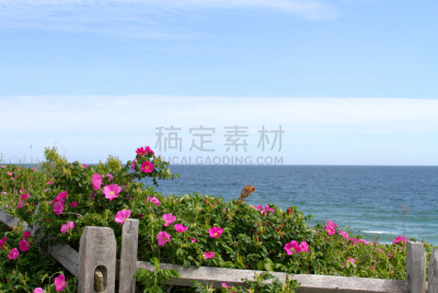 柯德角,海洋,风景,自然,留白,宁静,美国,巴恩斯特布尔县,水平画幅,云