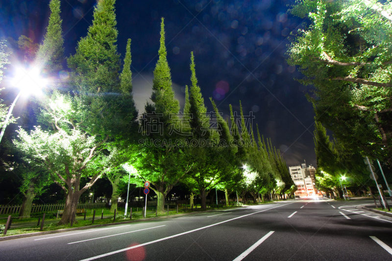 青山,东京,水平画幅,夜晚,交通,夏天,都市风景,沥青,城镇,表参道