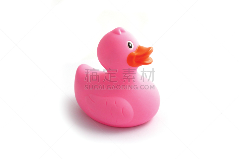 橡皮鸭子,粉色,白色背景,分离着色,代表,小鸭子,鸭子,塑胶,浴室,浴盆