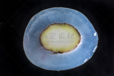水果,红毛丹,特写,切片食物,厄瓜多尔,水平画幅,素食,生食,小吃,黑色