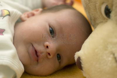 男婴,泰迪熊,毛绒玩具,水平画幅,进行中,白人,熊,仅婴儿,0到11个月,知识
