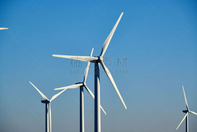 欧洲,自然,石油管道,德国,两个物体,建筑工地,北部,煤气管,一只动物,挨着
