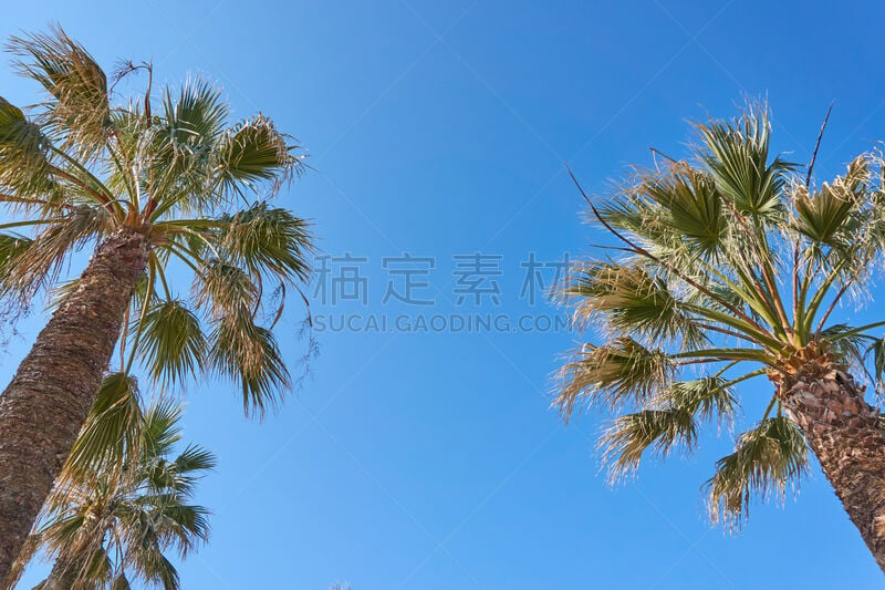 希腊,海岸线,旅游目的地,奥运会,塞萨洛尼基,环境,奥林匹斯山,草,波浪,绿松石色