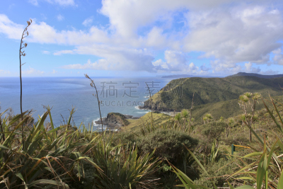 cape reinga,新西兰,海滩,水平画幅,沙子,沙丘,无人,户外,海洋,摄影