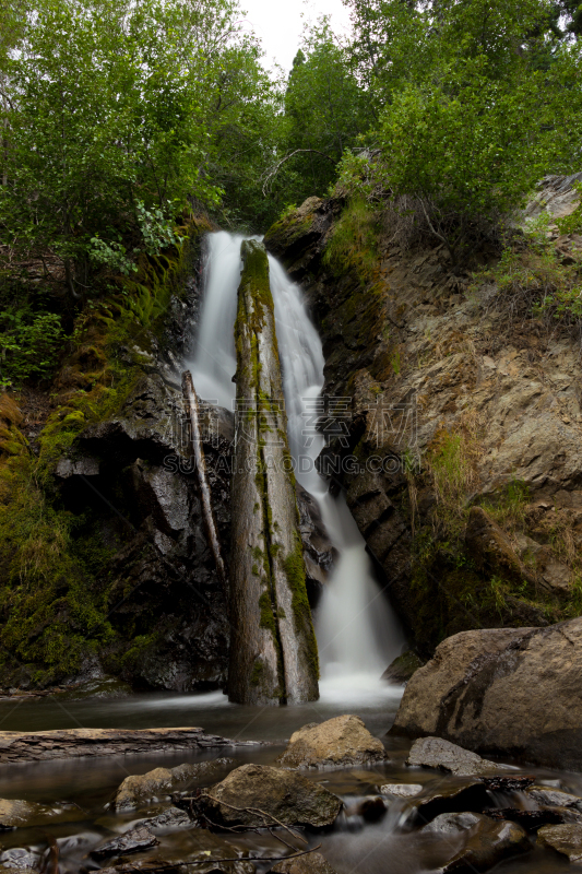 Upper Hunter Creek Waterfall with fallen tree