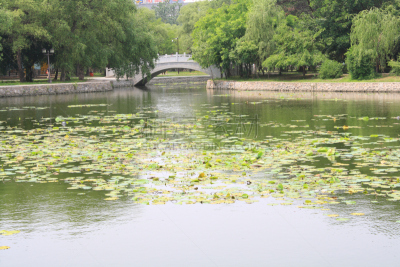石头,中国,拱桥,沈阳,垂柳,垂直画幅,水,天空,公园,柳树