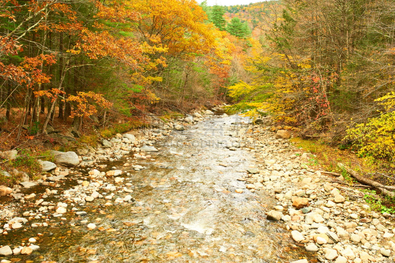 雨燕河,秋天,康卡玛古斯关口,观光公路,阿把拉契亚怀特山脉,阿巴拉契亚山间栈道,新罕布什,阿巴拉契亚山脉,卡斯基德山脉,主干路