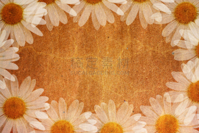 纹理效果,破碎的,植物群,留白,古董,水平画幅,风化的,无人,古典式,摇滚乐