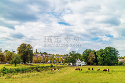 阿纳姆,公园,城市,荷兰,海尔德兰,中间部分,草地,水平画幅,地形,山