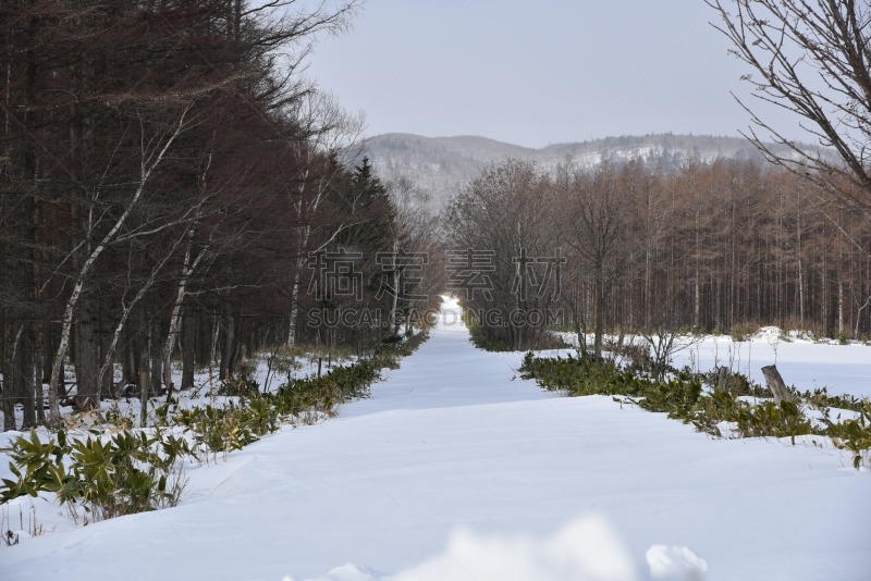 冬天,无人,寒冷,图像,户外,水平画幅,雪,地形,北海道,日本