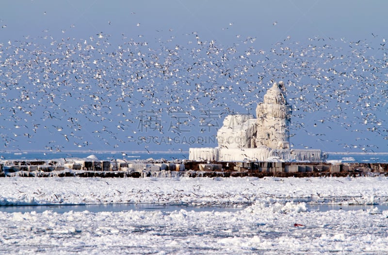 海港,克里夫兰,西,北皮尔哈德灯塔,水,水平画幅,雪,无人,鸟类,户外