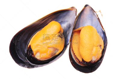 贻贝,海蚌,褐色,煮食,水平画幅,无人,软体动物,湿,生食,法式食品