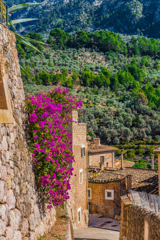 乡村,马略卡,sierra de tramuntana,垂直画幅,美,度假胜地,石墙,外立面,无人,古老的