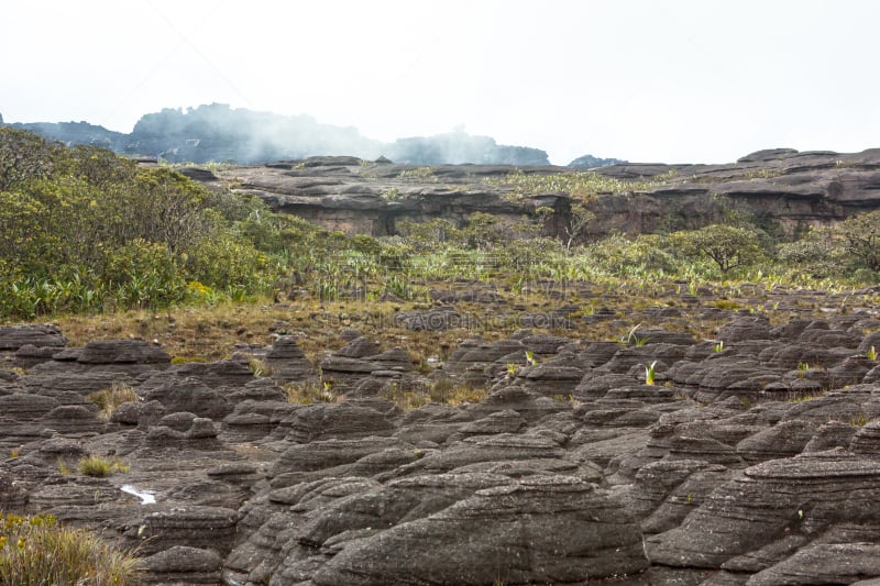 罗赖马山,平顶山区,罗赖马州,平顶山,canaima,委内瑞拉,南美,水平画幅,无人,户外