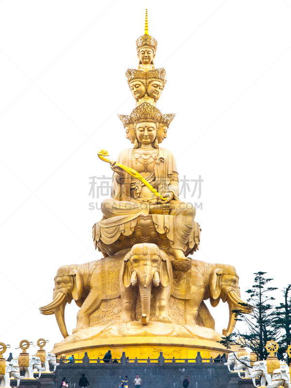 金佛寺,峨眉山,涅槃,掸邦,四川省,垂直画幅,灵性,荷花,无人,巨大的