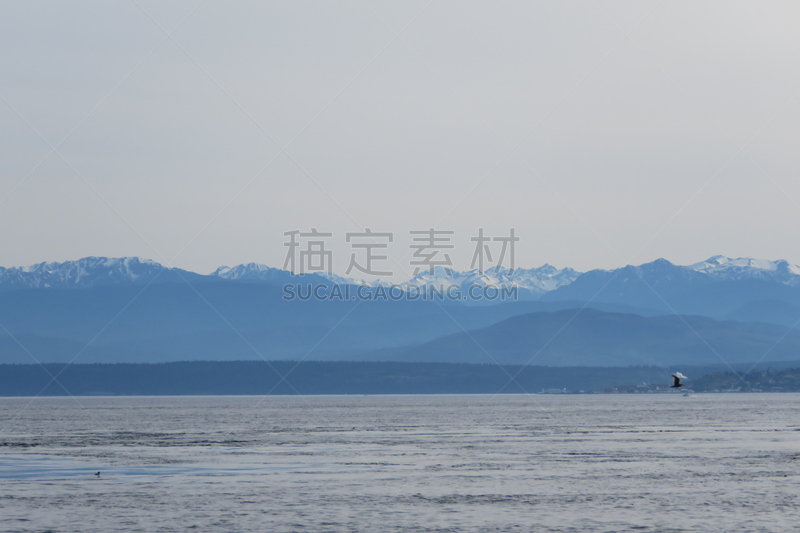 贝克尔山,普吉特海湾,卡斯基德山脉,背景幕,惠德贝艾斯兰德,美国,水平画幅,华盛顿州,无人,户外