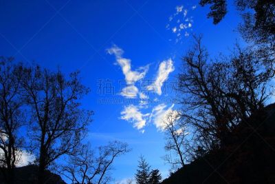 天空,云,白色,蓝色,树荫,美,风,水平画幅,无人,时间