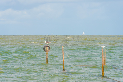 天空,风,暴风雨,云,透视图,夏天,湖,荷兰,风景,福力沃兰