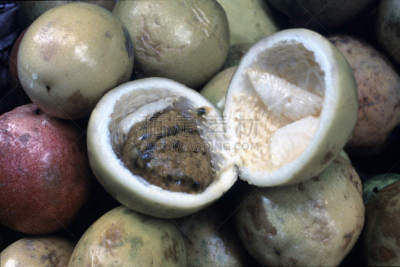 美味,热带水果,皮塔雅,凤梨番石榴,清新,背景分离,食品,橙子,木瓜,西瓜