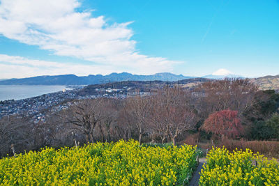 scenery from azumayamakouen
吾妻山公园からの风景