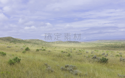 弗米利恩,山艾树,内布拉斯加,美国,平原,易接近性,大平原,丘陵起伏地形,天空,水平画幅
